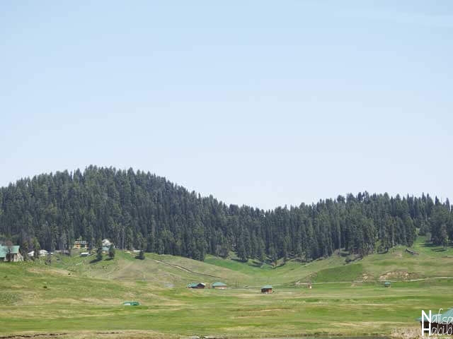 Places to see in Gulmarg - World’s Highest Green Golf Course in Gulmarg