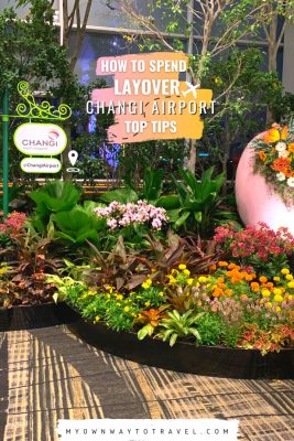 Top Tips for Enjoying Layover at Changi Airport